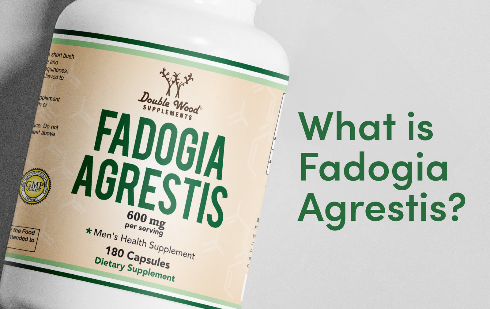 What is Fadogia Agrestis?