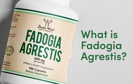 What is Fadogia Agrestis?