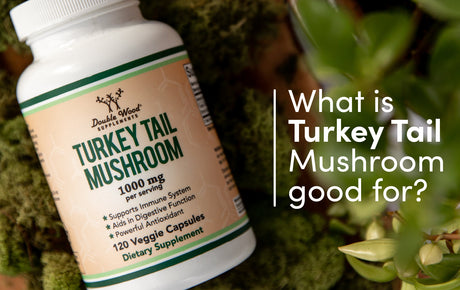 Turkey Tail Mushroom Supplements: Benefits, Side Effects, and More