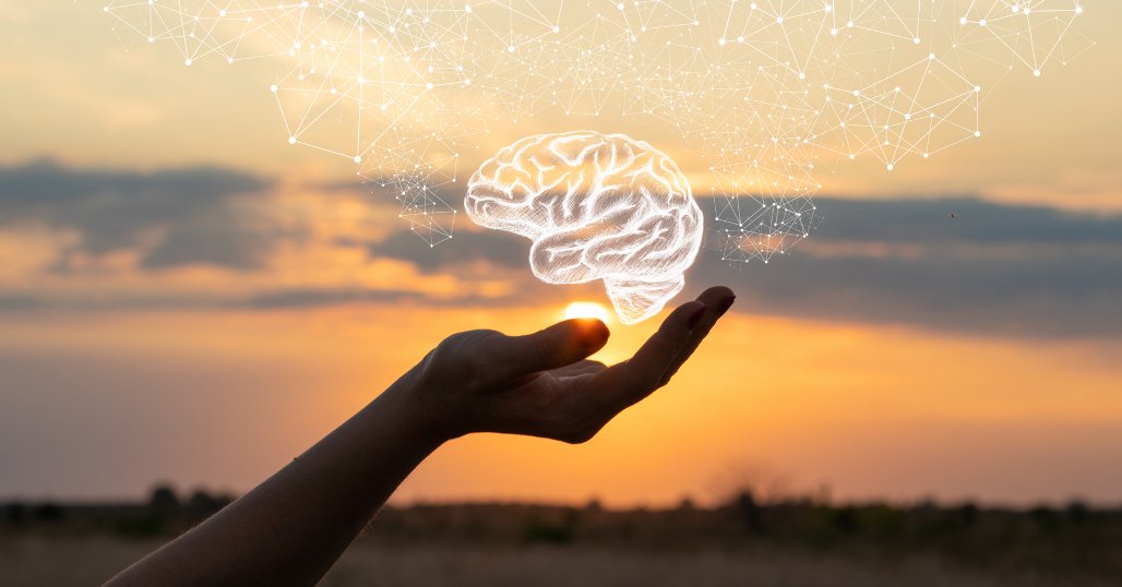 This is Your Brain on Choline - Double Wood Supplements