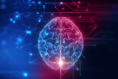Using Brain Plasticity to Supercharge Your Brain - Double Wood Supplements