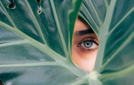 What Are The Best Beauty Supplements - Double Wood Supplements