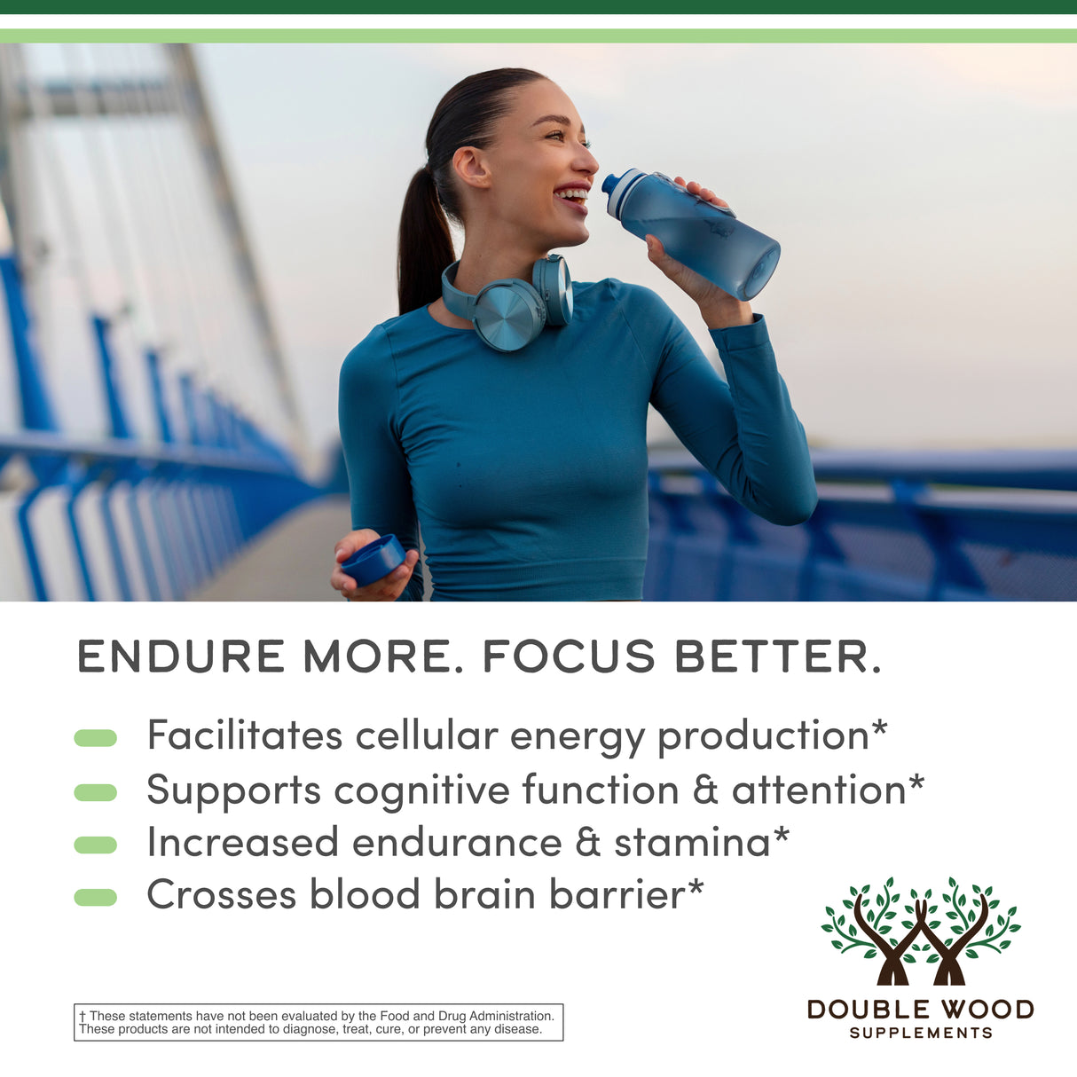 Acetyl L-Carnitine (ALCAR) Supplement