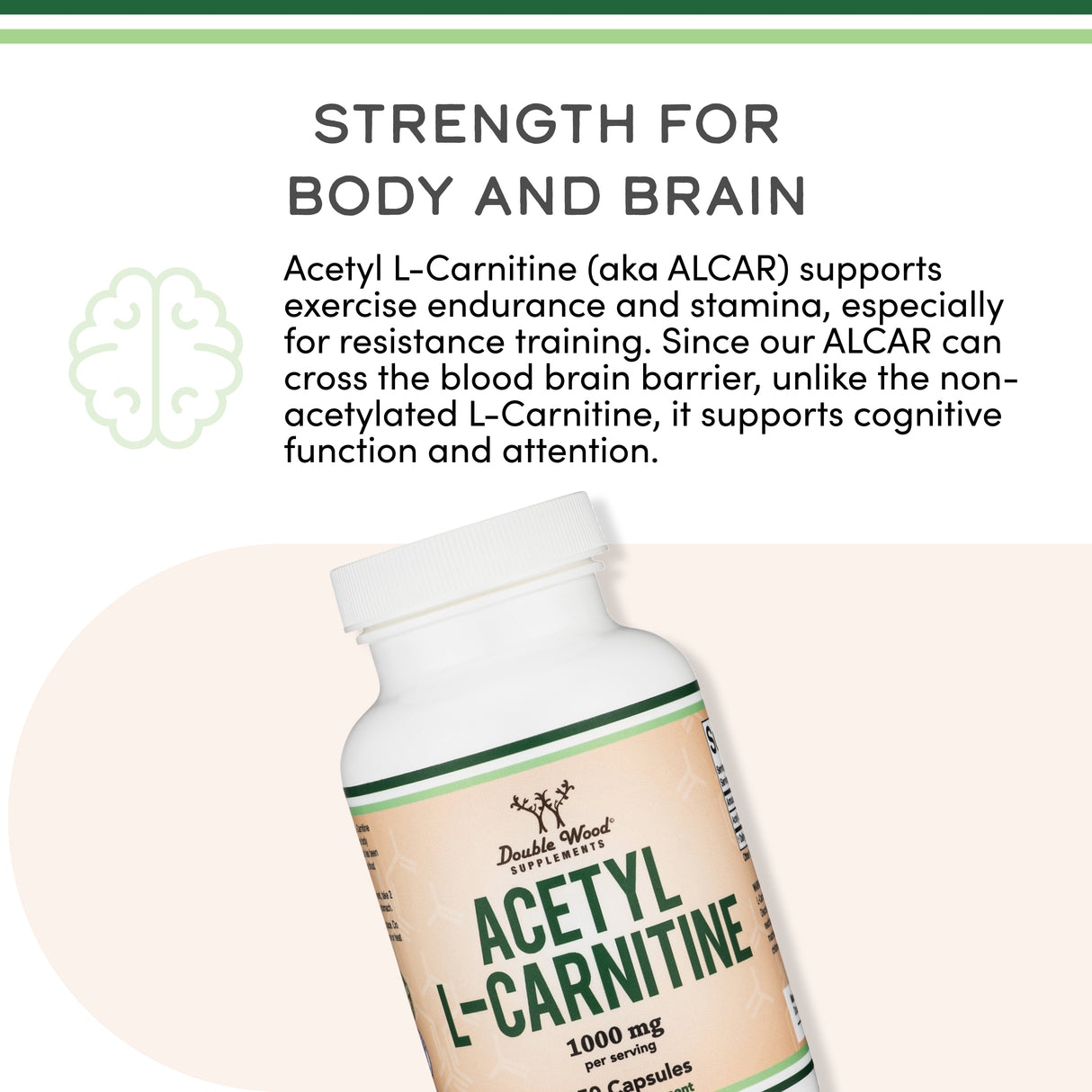 Acetyl L-Carnitine (ALCAR) Supplement