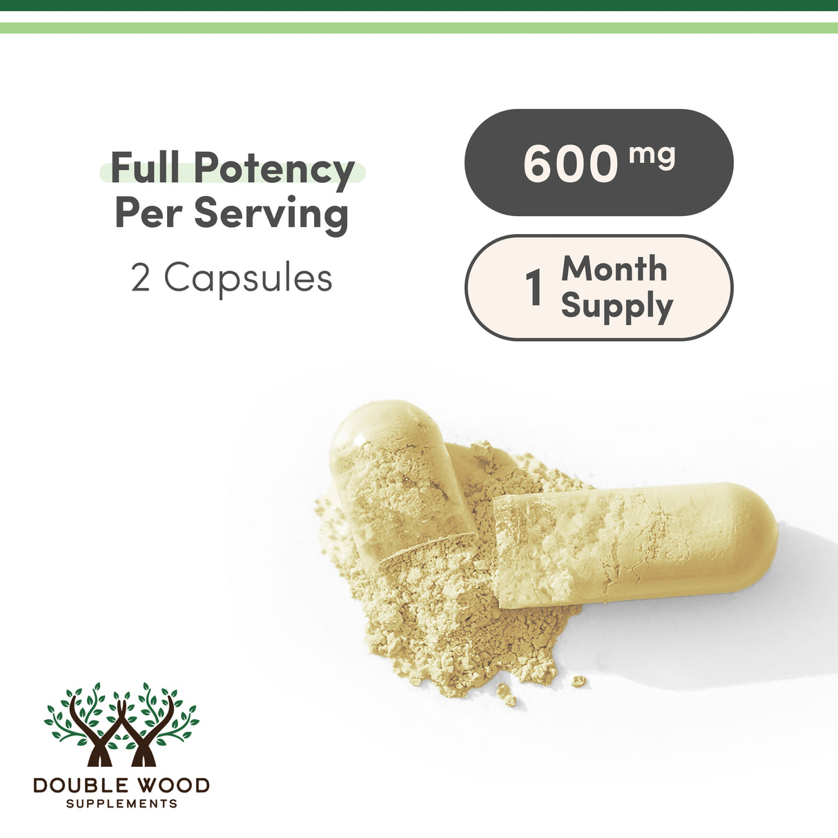 Alpha Lipoic Acid Supplement