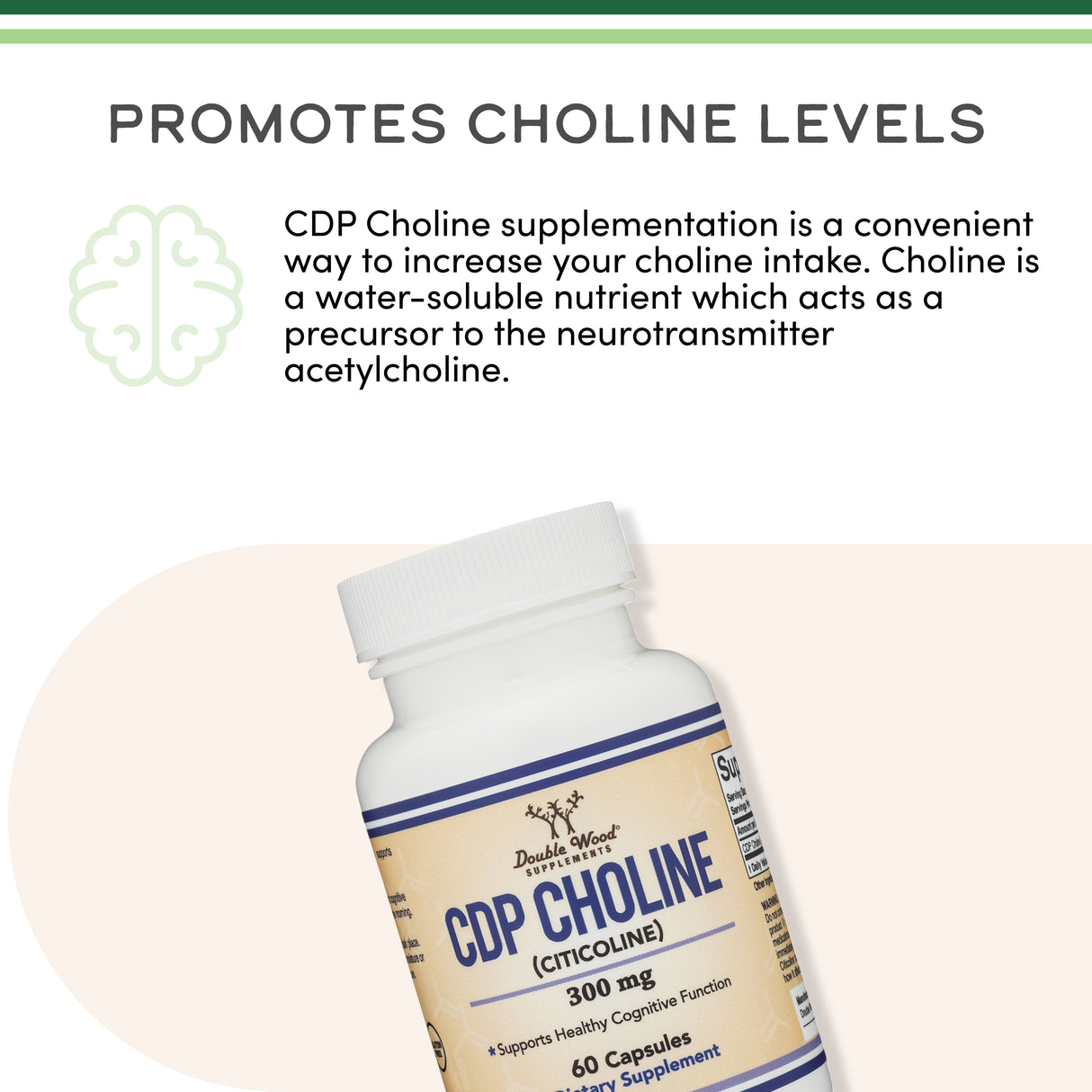 CDP Choline Supplement