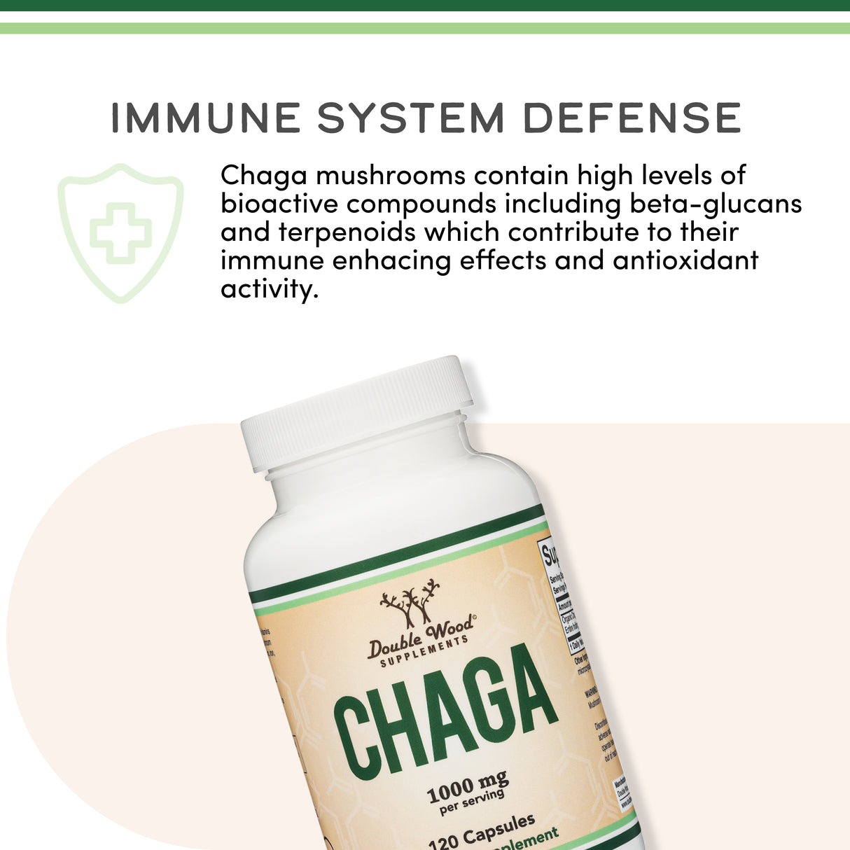 Chaga Mushroom Supplement
