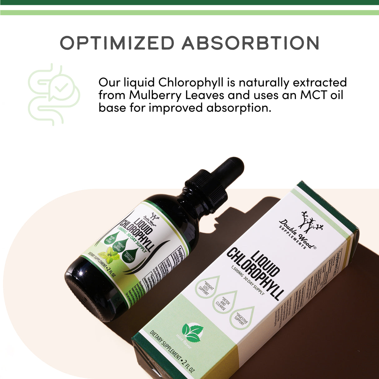 Liquid Chlorophyll & Digestive Enzymes Stack