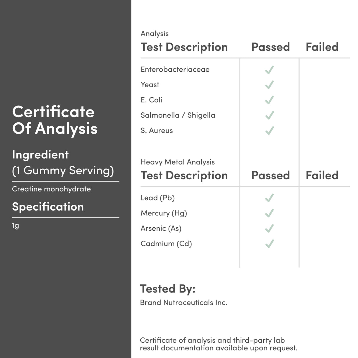 Creatine Gummies Supplement