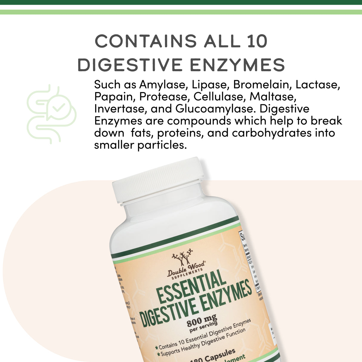 Liquid Chlorophyll & Digestive Enzymes Stack