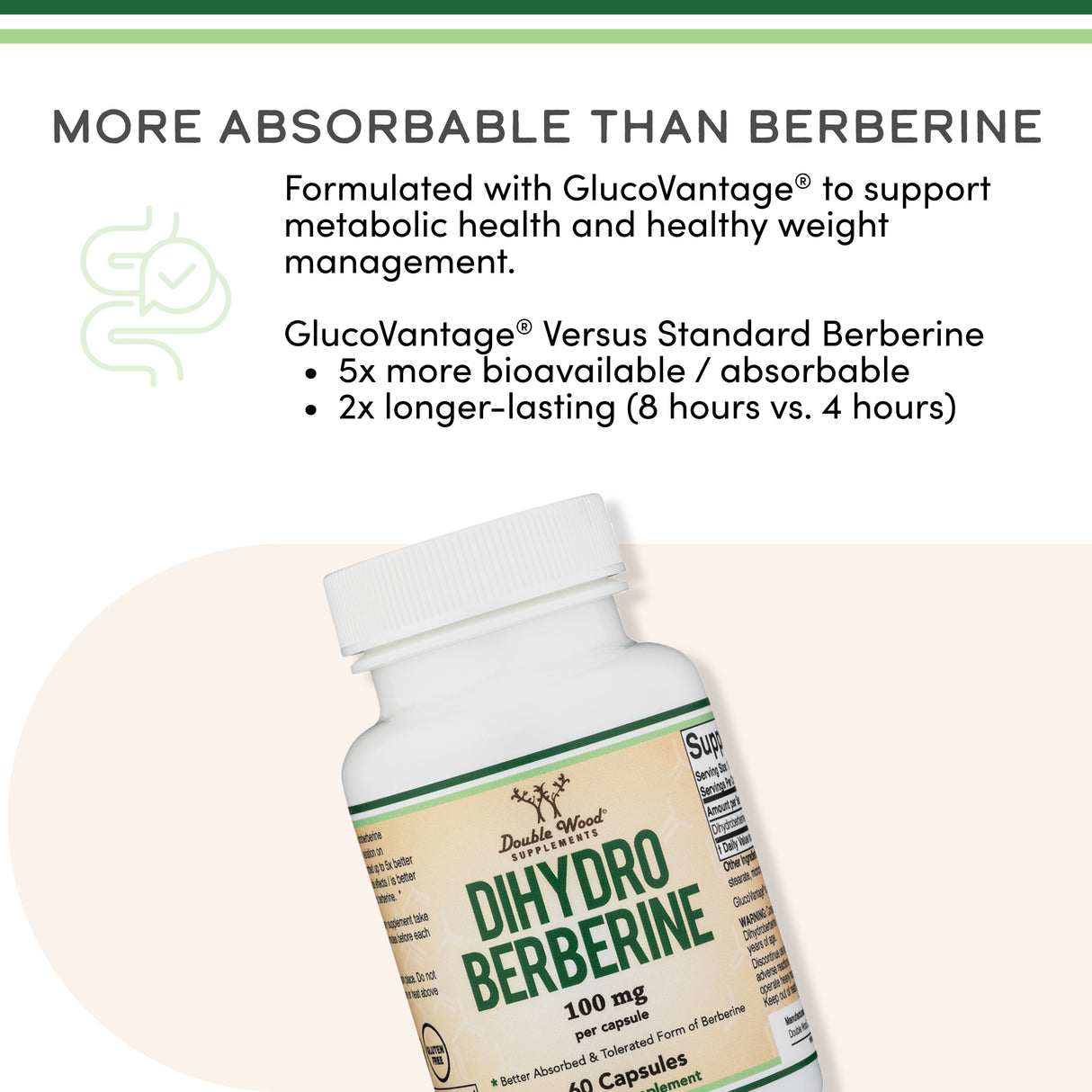 Dihydroberberine Supplement