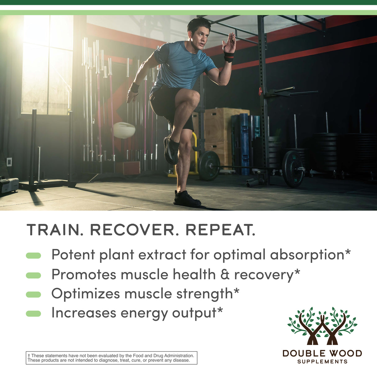 Fadogia Agrestis Supplement