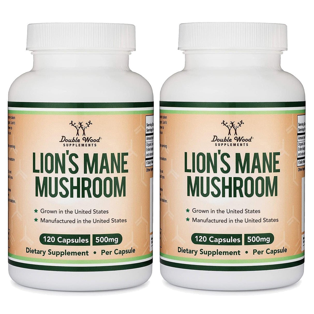 Lion's Mane Mushroom Supplement