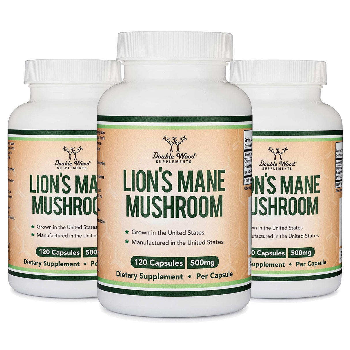 Lion's Mane Mushroom Supplement