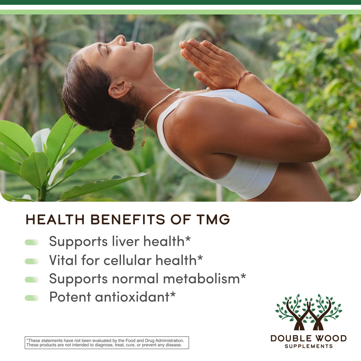 TMG Supplement