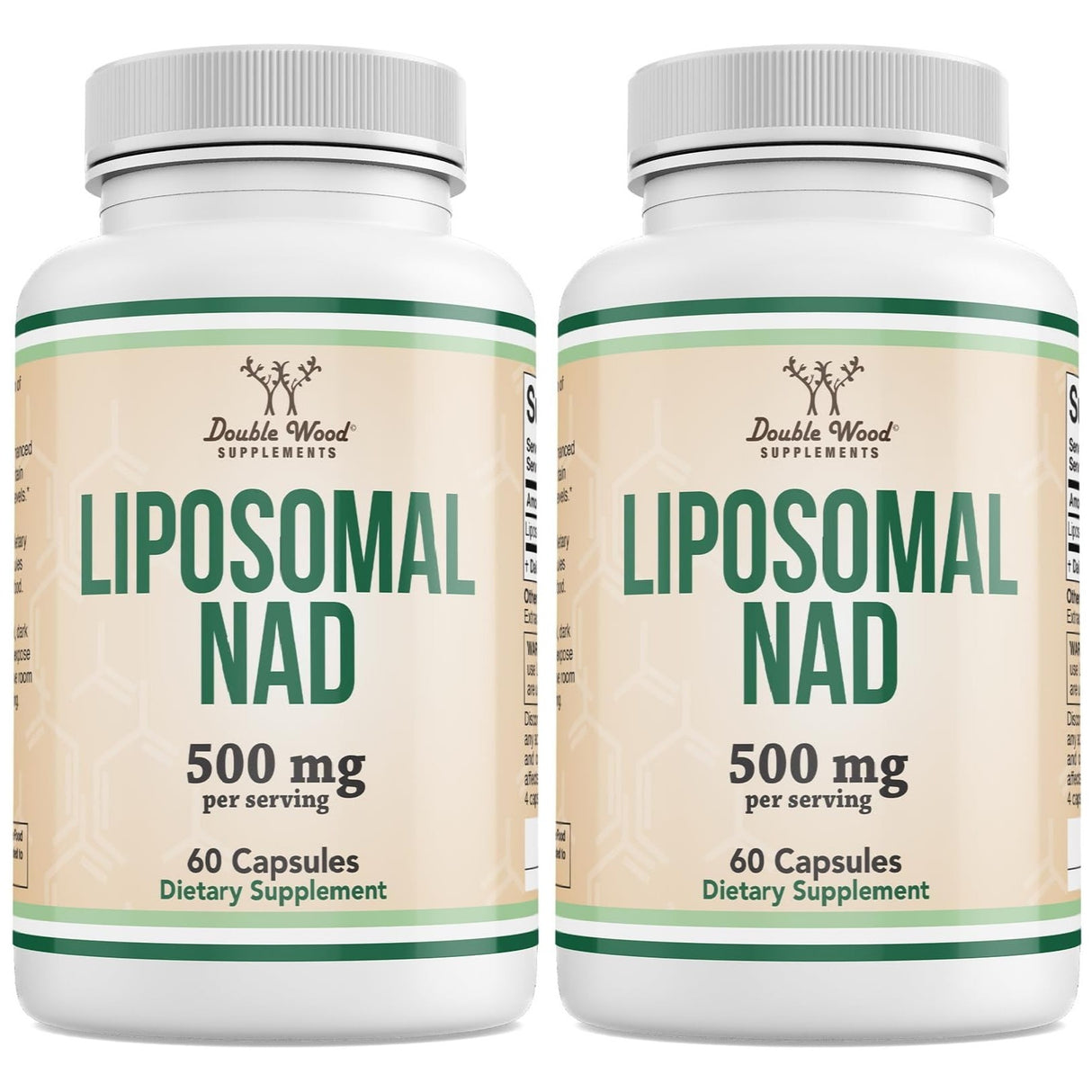 Liposomal NAD Supplement