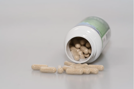 Lion's Mane Mushroom: Benefits, Dosage, Side Effects & How To Choose a Supplement