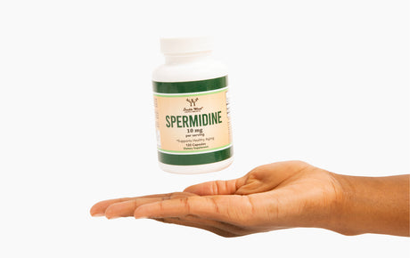 What is Spermidine?