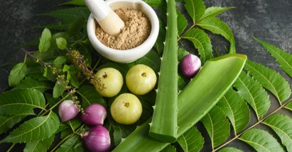East Meets West: A Guide to Ayurvedic Supplements - Double Wood Supplements