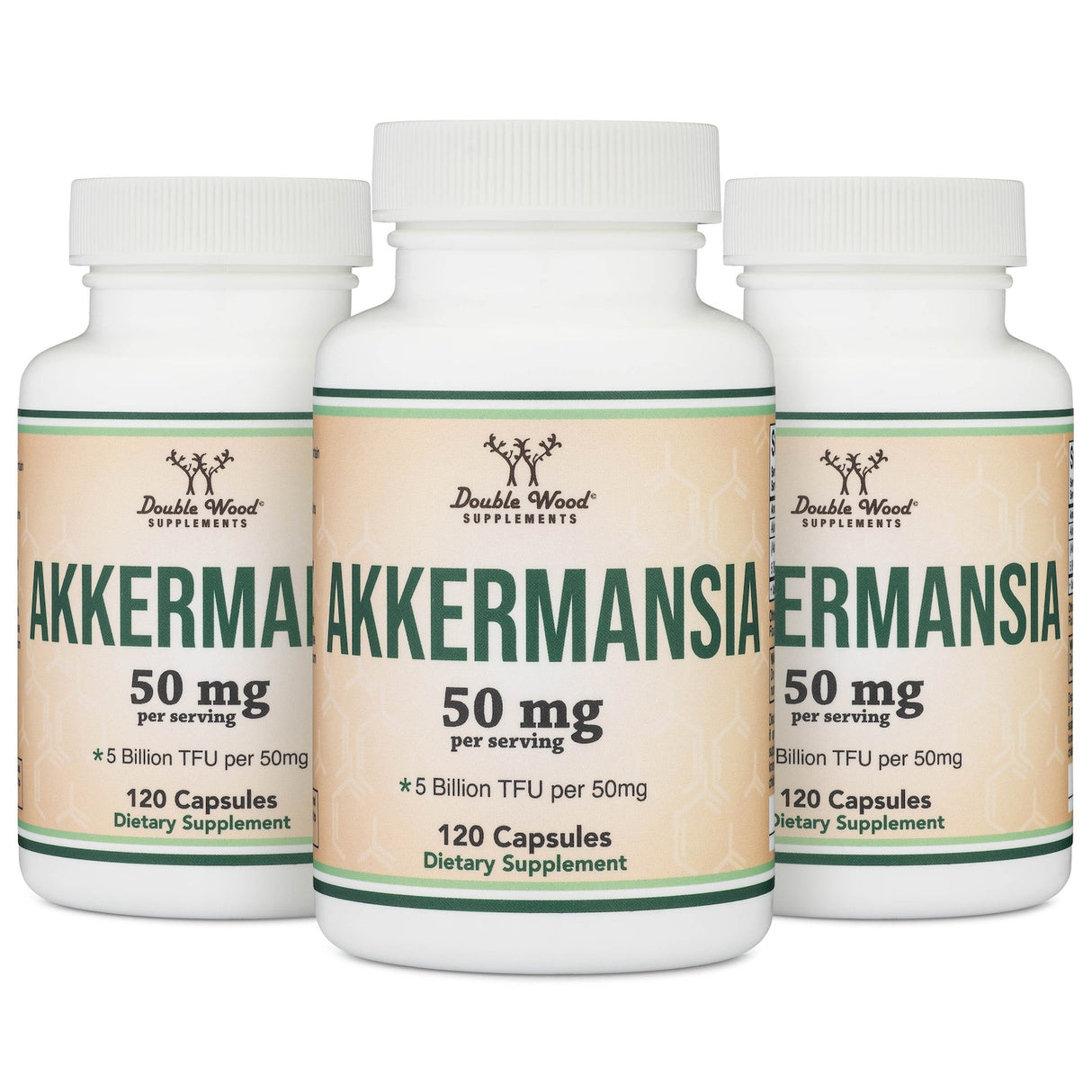 Akkermansia Supplement