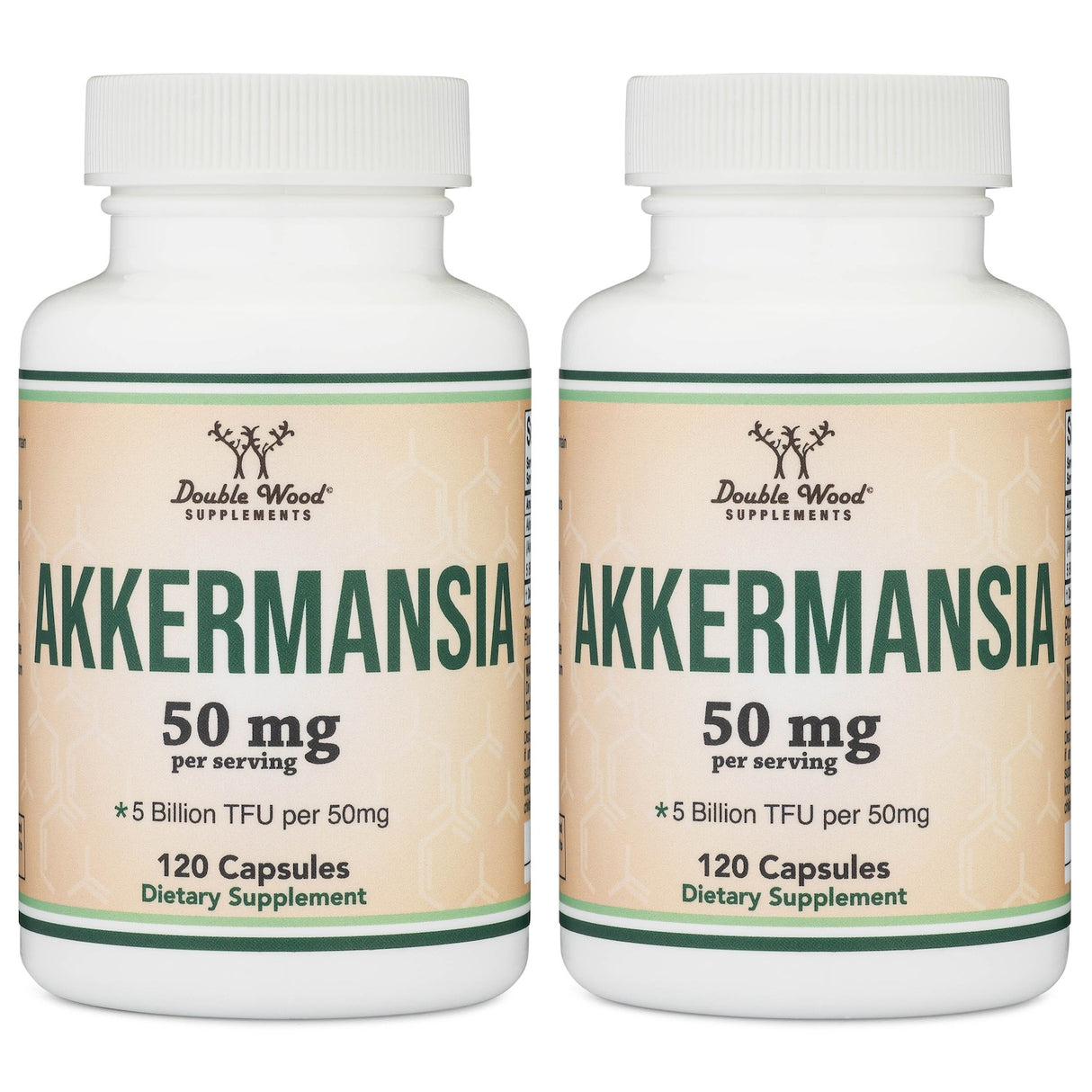 Akkermansia Supplement