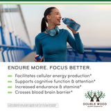 ALCAR Supplement for Cognitive Function and Stamina ALCAR Supplement for Cognitive Function and Stamina