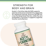 ginkgo biloba l carnitine Amazon.com: Bronson Ginkgo, Bacopa & Acetyl L-Carnitine Brain & Memory Support Complex with L-Tyrosine, Choline, CoQ10 & Phosphatidylserine Plus Key B Vitamins Non-GMO, 30 Tablets : Everything Else ginkgo biloba l carnitine Amazon.com: Bronson Ginkgo, Bacopa & Acetyl L-Carnitine Brain & Memory Support Complex with L-Tyrosine, Choline, CoQ10 & Phosphatidylserine Plus Key B Vitamins Non-GMO, 30 Tablets : Everything Else