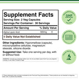 Alpha Lipoic Acid Supplement