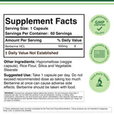 Berberine Supplement