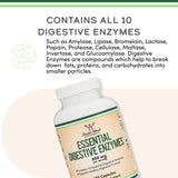 Liquid Chlorophyll & Digestive Enzymes Stack