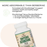 Dihydroberberine Supplement