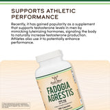 Fadogia Agrestis Supplement