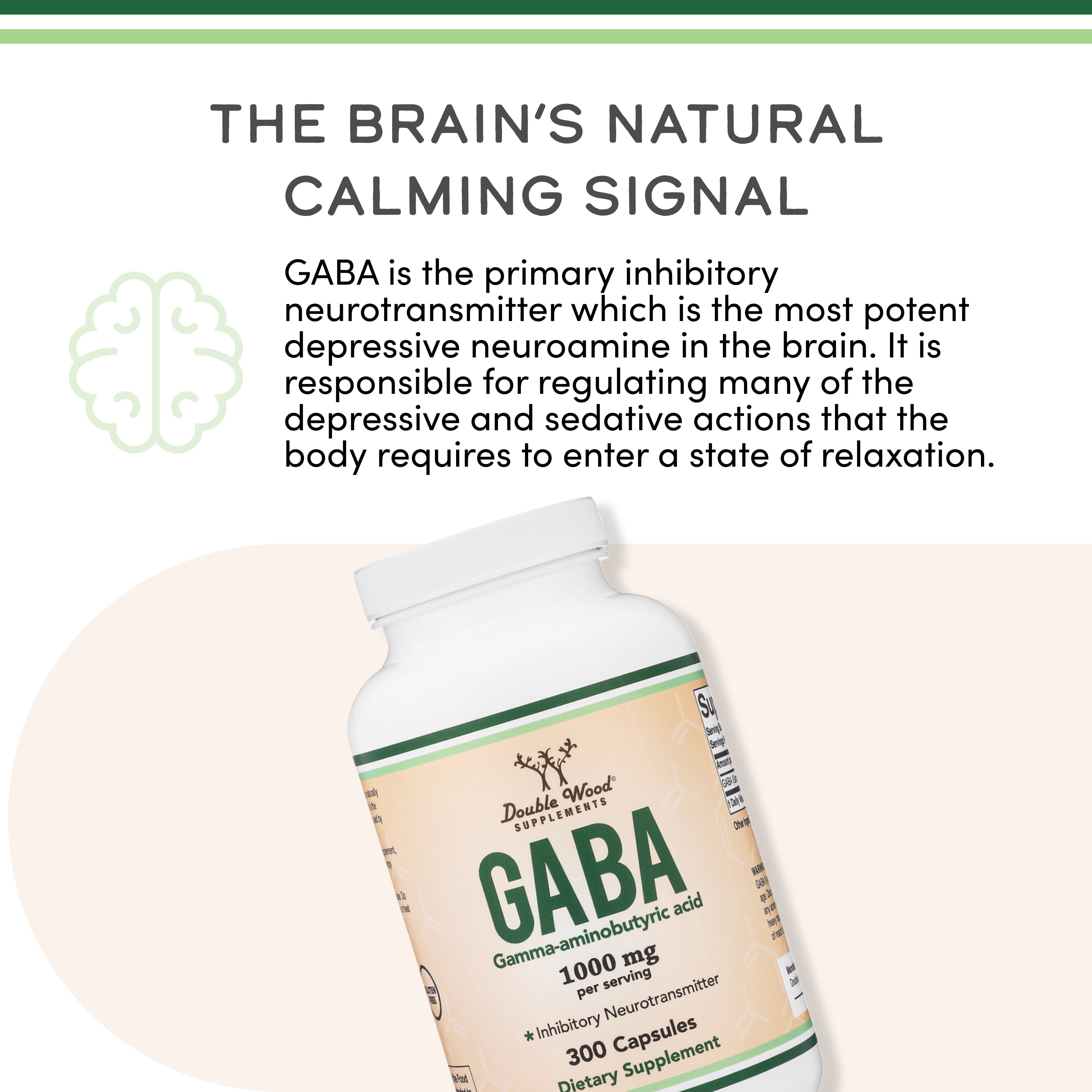 wellreco Q1 supplement GABA 56g×2パック GABA Supplement | Double Wood Supplements
