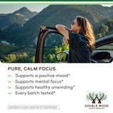 L-Theanine Supplement