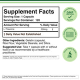 L-Theanine Supplement