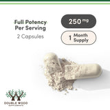 NMN Supplement