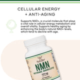 NMN Supplement