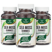 Irish Sea Moss Gummies Triple Pack - Double Wood Supplements