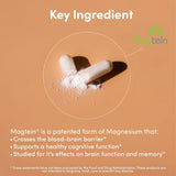 Magnesium L-Threonate (Magtein) Triple Pack - Double Wood Supplements